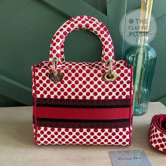 EUC  Rare Christian Dior Lady D Lite Dioramour 2020 Lady Bug Dots Satchel Bag - Picture 3 of 16